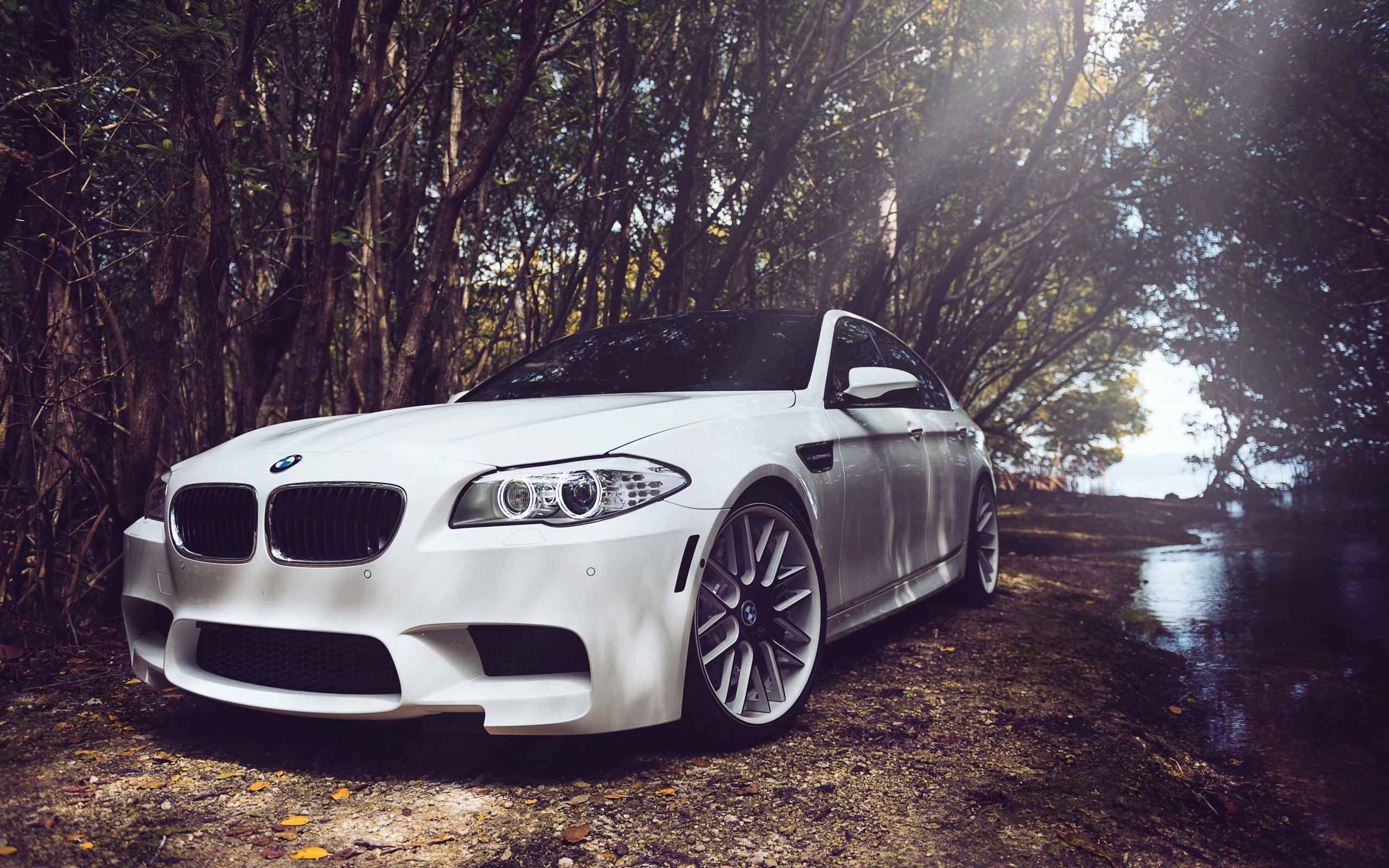 Bmw Car Wallpapers Free Download