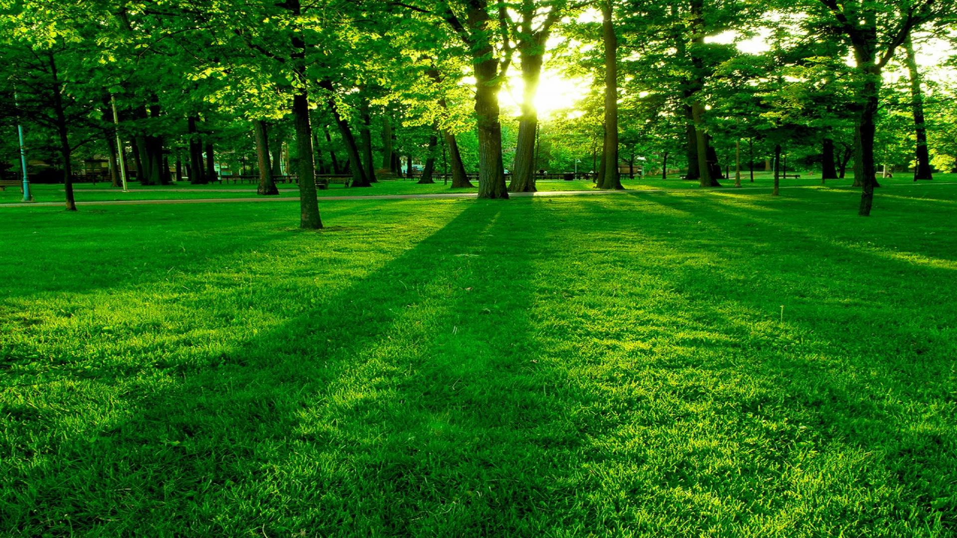 Green Nature Wallpaper Hd For Desktop Free Download - Super Hd Nature ...