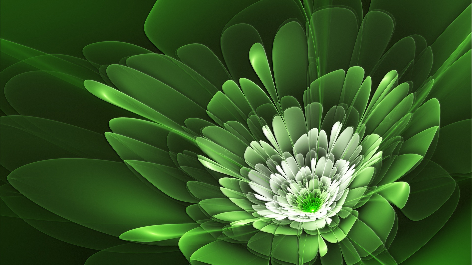 45 Hd Green Wallpapersbackgrounds For Free Download