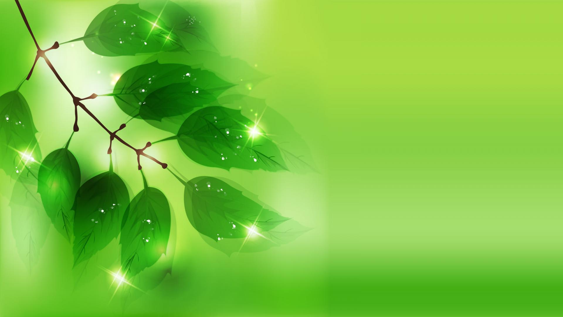 45 Hd Green Wallpapersbackgrounds For Free Download