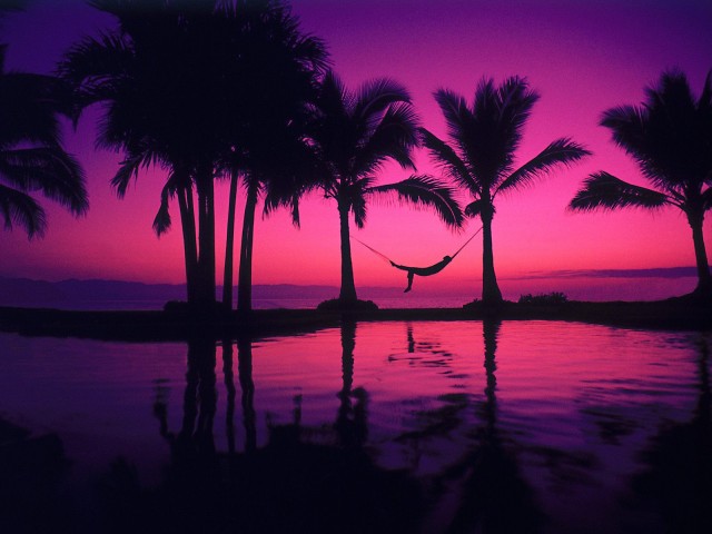 HD purple wallpaper image to use as background-21
