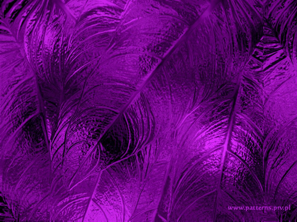 43 HD Purple Wallpaper/Background Images To Download For Free