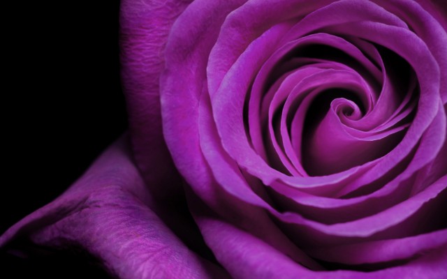 HD purple wallpaper image to use as background-42