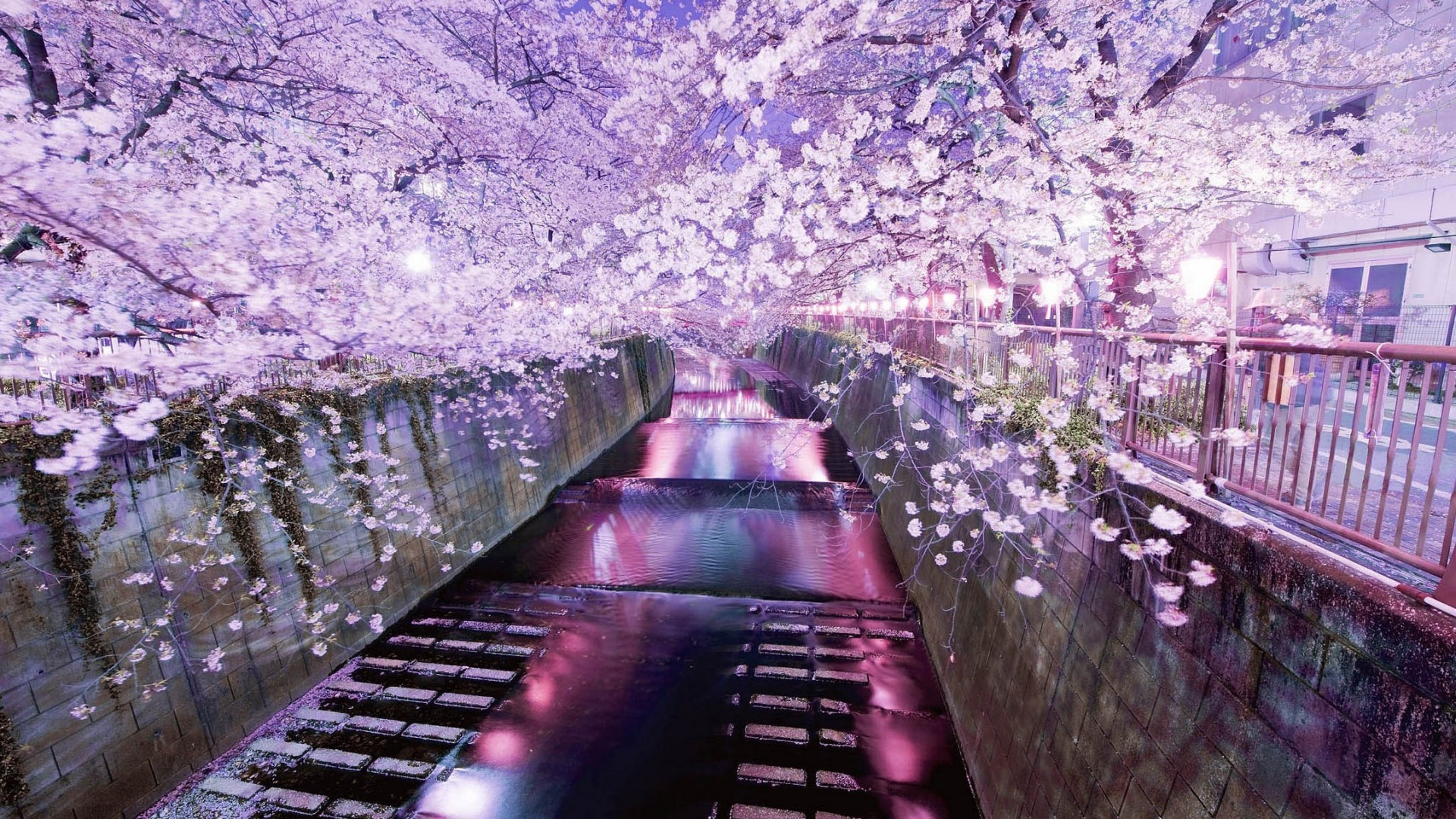 38 Beautiful Japan Wallpapers The Land Of Rising Sun