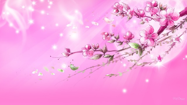 Pink wallpaper as background 15