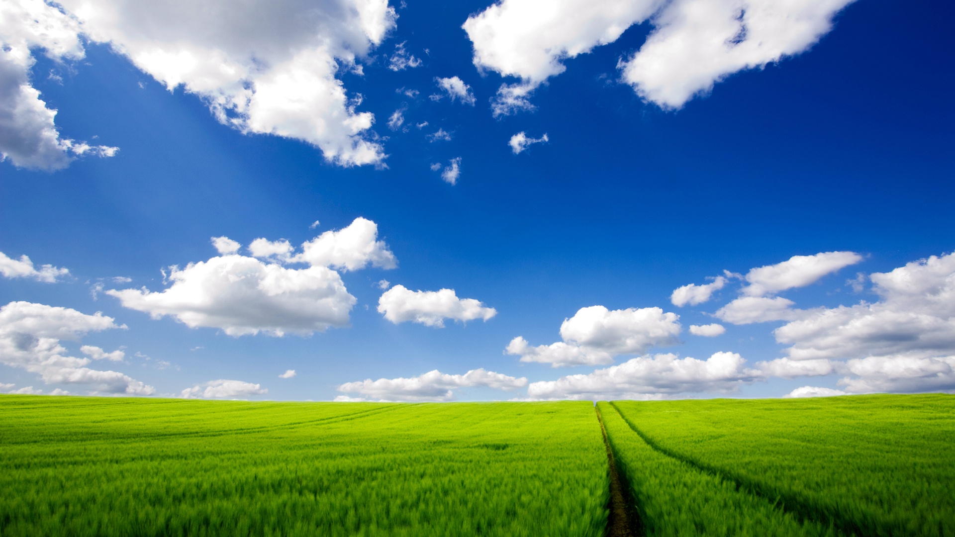 50 Cool Windows XP  Wallpapers  In HD  For Free  Download 