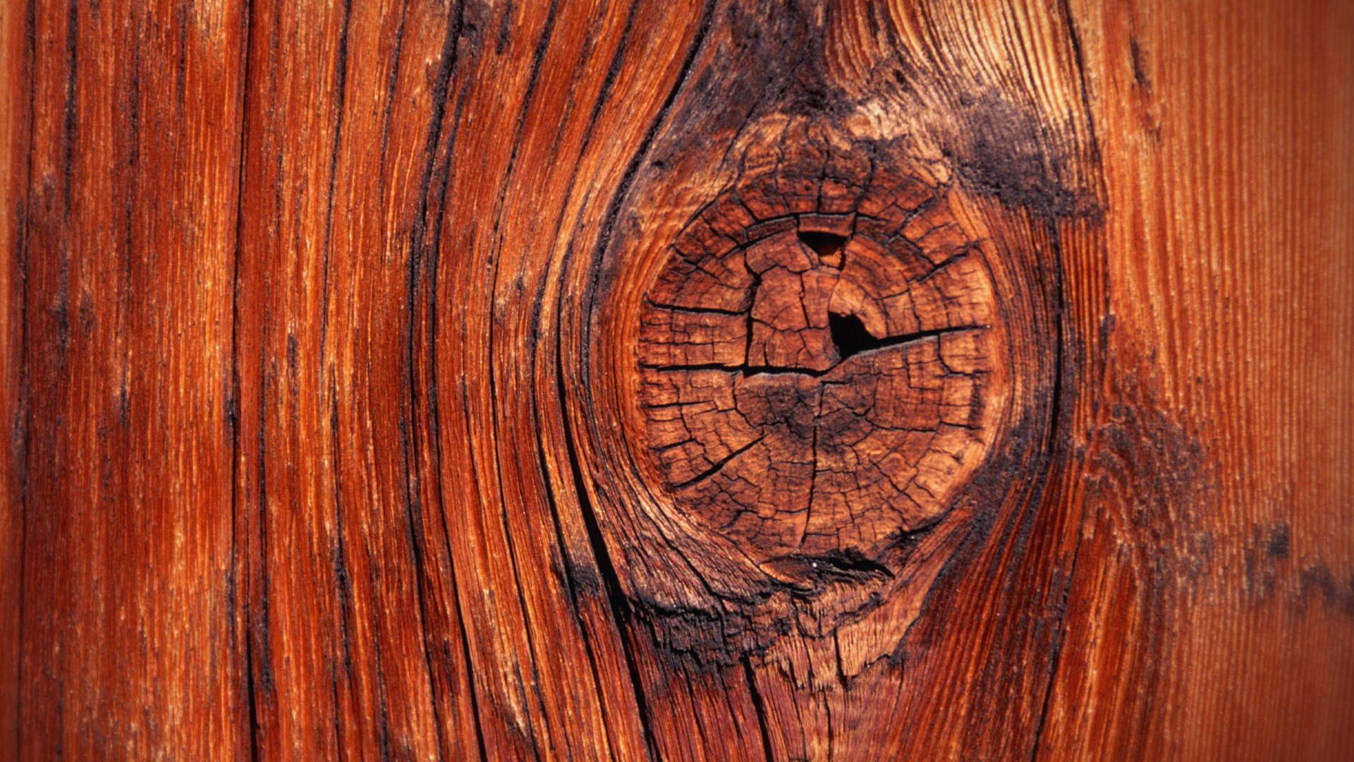 35 HD Wood Wallpapers/Backgrounds For Free Download