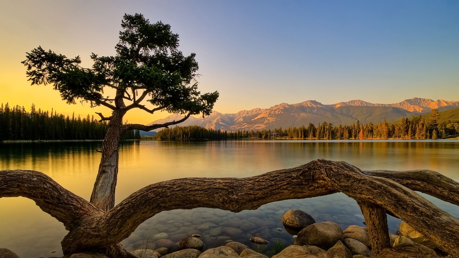 45 HD Beautiful Wallpapers/Backgrounds For Free Download Beautiful wallpaper hd, Wallpaper, Beautiful wallpapers