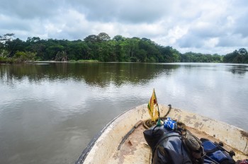 Contemplate The Rich Landscape Of Sierra Leone, This Beautiful Territory Of West Africa--15