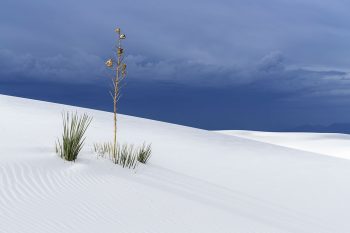 American White Sands Desert Is A Sublime Expanse That Should Not Exist--15