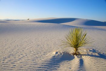 American White Sands Desert Is A Sublime Expanse That Should Not Exist--5