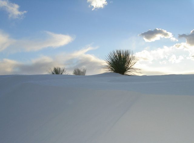 American White Sands Desert Is A Sublime Expanse That Should Not Exist--9