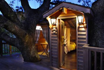 Blue Suit: A Beautiful Cabin Nestled In Trees In The Heart Of A Lavender Field--1