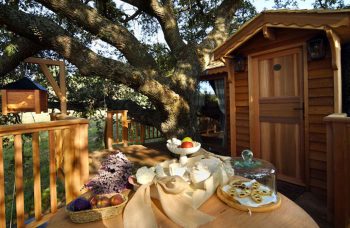 Blue Suit: A Beautiful Cabin Nestled In Trees In The Heart Of A Lavender Field--5