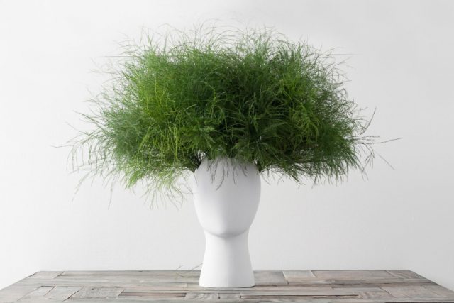 These Head-Shaped Vases Transform Your Floral Arrangements Into Majestic Wigs--6