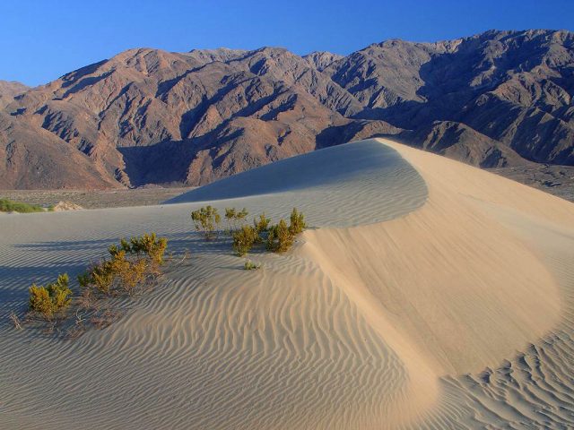 Travel The Legendary Death Valley, This Desert Region That Stretches To The Horizon--3