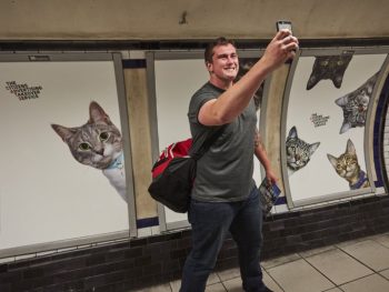 Farewell pubilicity! Cat posters invade the London Underground--3