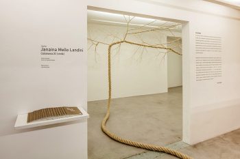 Janaina Mello Landini's Amazing Rope Artworks (gallery)--11