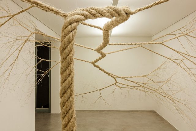 Janaina Mello Landini's Amazing Rope Artworks (gallery)--12