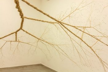 Janaina Mello Landini's Amazing Rope Artworks (gallery)--14