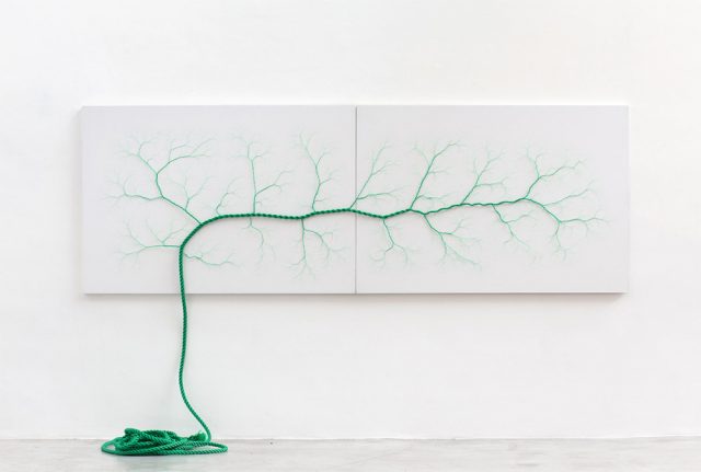 Janaina Mello Landini's Amazing Rope Artworks (gallery)--2