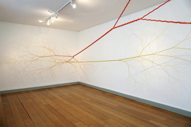Janaina Mello Landini's Amazing Rope Artworks (gallery)--3