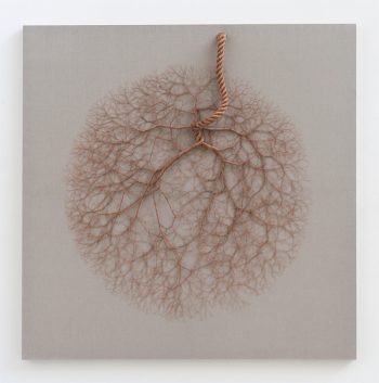 Janaina Mello Landini's Amazing Rope Artworks (gallery)-