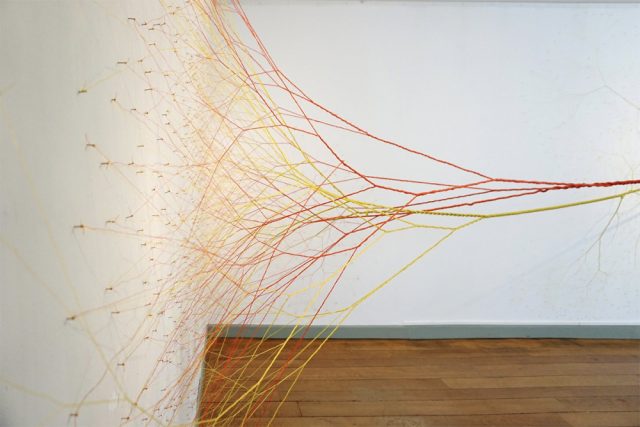 Janaina Mello Landini's Amazing Rope Artworks (gallery)--5