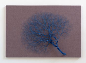 Janaina Mello Landini's Amazing Rope Artworks (gallery)--6