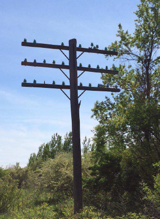 Long Distance Telephone Poles