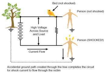 high voltage circuit for shock current to flow through the victim