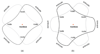 orbiting electron as standing wave around the nucleus
