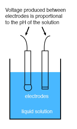 ph electrodes