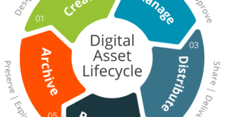 Digital asset lifecycle
